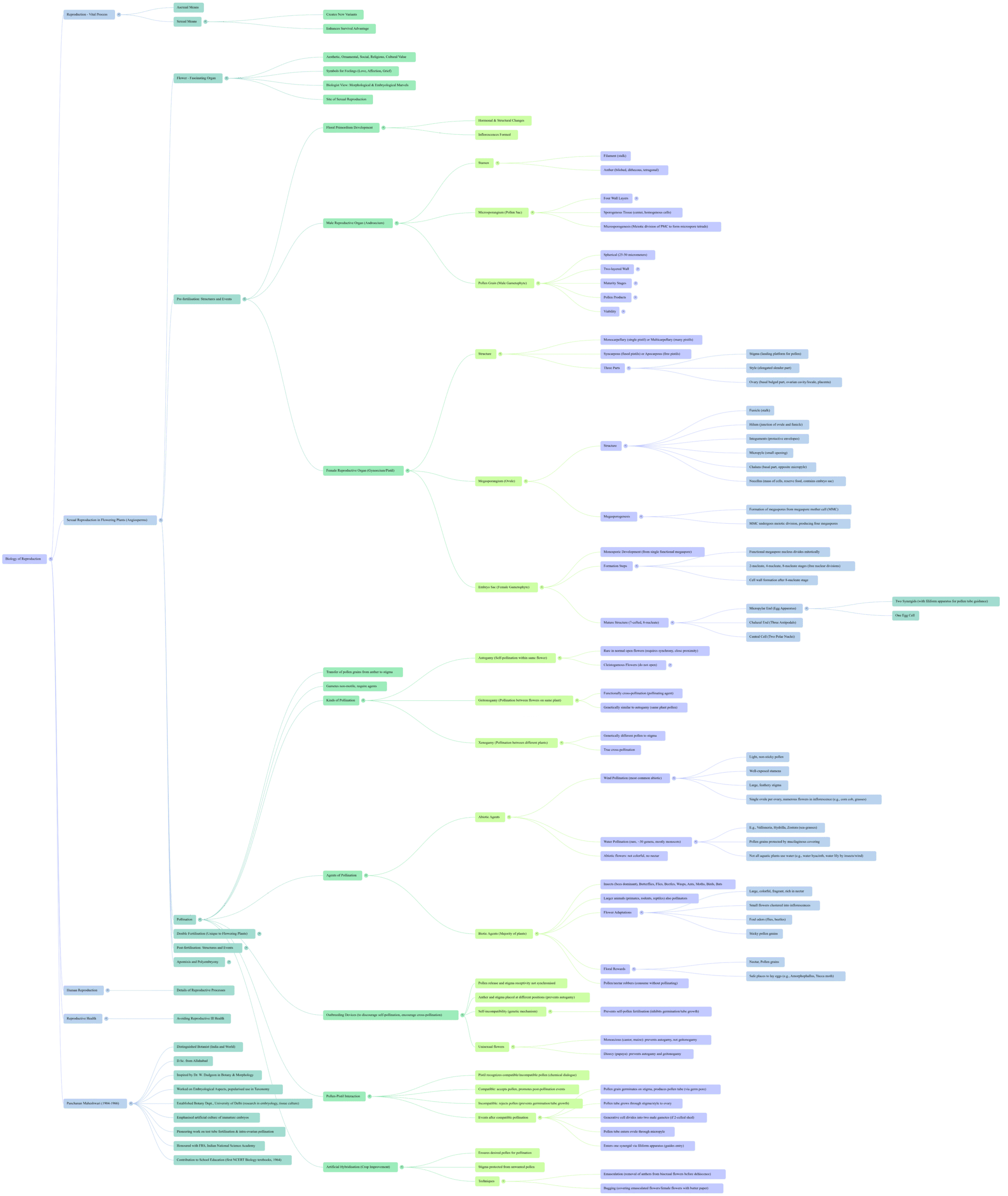 Chapter Mindmap